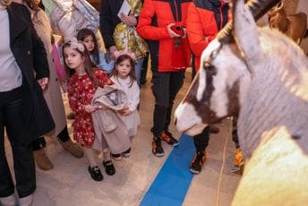 (FOTO) U Prirodnjačkom muzeju Crne Gore otvorena izložba "Životinje Afrike" (FOTO) U Prirodnjačkom muzeju Crne Gore otvorena izložba "Životinje Afrike"