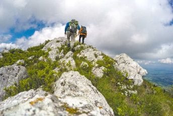 Majka i dvoje djece nađeni mrtvi u Švajcarskoj: Otišli na planinarenje, a poslije dva dana tragično nastradali Majka i dvoje djece nađeni mrtvi u Švajcarskoj: Otišli na planinarenje, a poslije dva dana tragično nastradali