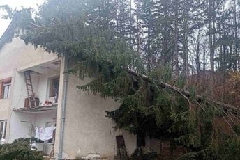 Mojkovac: Zbog obilnih padavina i jakog vjetra obrušilo se drvo na kuću Mojkovac: Zbog obilnih padavina i jakog vjetra obrušilo se drvo na kuću