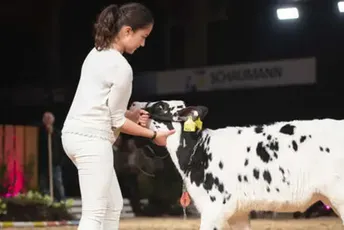 Rekordna cijena: Tele na aukciji prodato za 83.000 eura Rekordna cijena: Tele na aukciji prodato za 83.000 eura