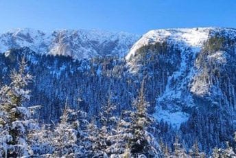 Rožaje: Murić će po pravdu preko suda Rožaje: Murić će po pravdu preko suda