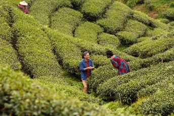 Na ovih 10 filmova sa Berlinala treba obratiti pažnju Na ovih 10 filmova sa Berlinala treba obratiti pažnju