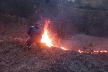 Policija u Bijelom Polju i Mojkovcu traga za piromanima koji su izazvali više požara Ilustracija