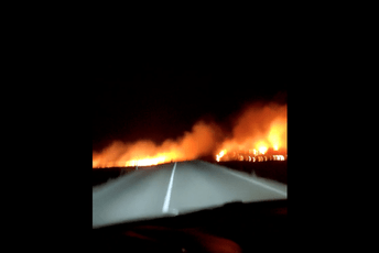 Požar na Žabljaku, gašenje otežava jak vjetar Požar na Žabljaku, gašenje otežava jak vjetar
