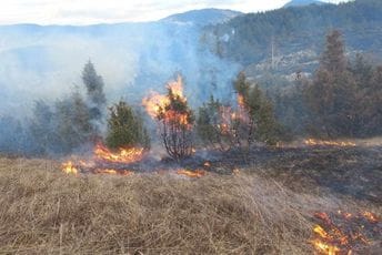 Požari na Žabljaku ugašeni: Najkritičnije bilo prema Vražjem jezeru, kiša došla kao spas Požari na Žabljaku ugašeni: Najkritičnije bilo prema Vražjem jezeru, kiša došla kao spas