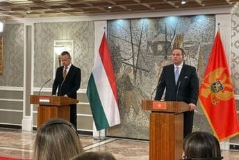 Ivanović: Izbor Radovića za v.d. direktora policije neće se odraziti na parlamentarnu većinu Ivanović: Izbor Radovića za v.d. direktora policije neće se odraziti na parlamentarnu većinu