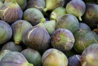 Upozorenje iz Evrope: Aflatoksin u smokvama iz Turske, nedozvoljeni pesticid u salati iz Sj. Makedonije
