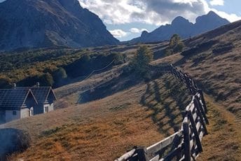 "Institucije su nas zaboravile": U potkomovskom Japanu još čekaju obećanu "Japansku kuću" "Institucije su nas zaboravile": U potkomovskom Japanu još čekaju obećanu "Japansku kuću"