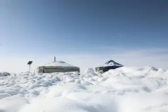 Ekstremna zima u Mongoliji: Uginulo 4,7 miliona životinja Ekstremna zima u Mongoliji: Uginulo 4,7 miliona životinja