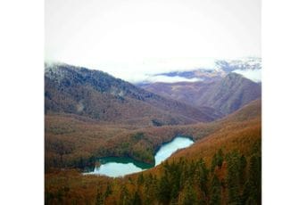 NP Biogradska gora otvoren za posjetioce NP Biogradska gora otvoren za posjetioce