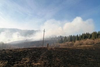 (VIDEO/FOTO) Pljevlja: Požar se sa Čavnja proširio na Crni vrh, vatrogasci branili kuće