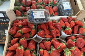 Podgorica: Na pijaci u Gintašu pet eura 125 grama borovnica Podgorica: Na pijaci u Gintašu pet eura 125 grama borovnica