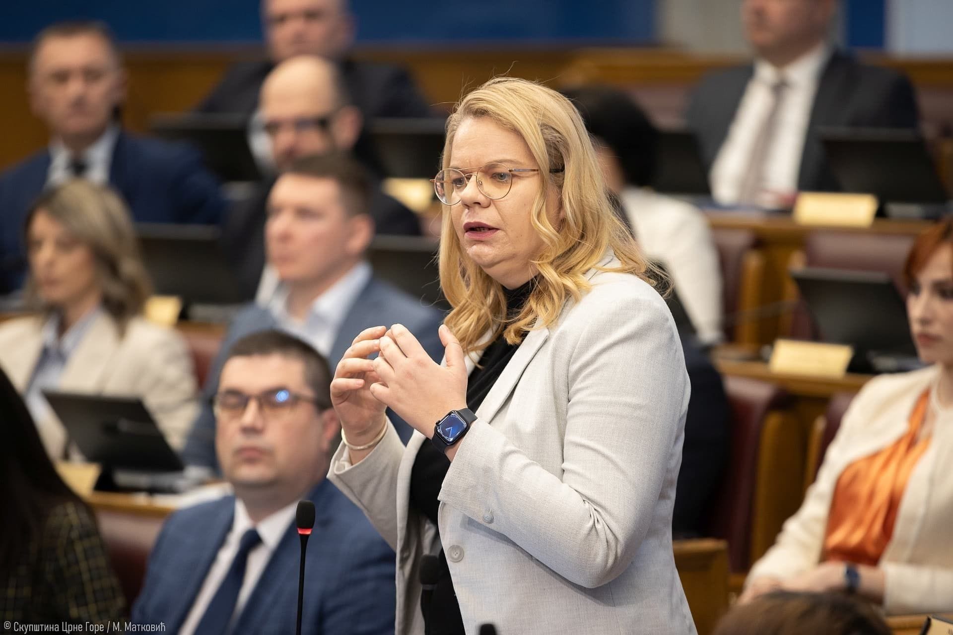 Fotografija 10: Spajić: Do kraja godine prosječna zarada 1.000 eura; Crna Gora će glasati za Rezoluciju; Vukićević: To je odluka protiv srpskog naroda
