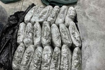 UP: Spriječeno krijumčarenje više od 40 kilograma marihuane, nosili je u džakovima preko granice UP: Spriječeno krijumčarenje više od 40 kilograma marihuane, nosili je u džakovima preko granice