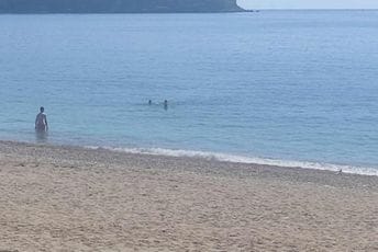 Aprilsko kupanje u Sutomoru i na Skadarskom jezeru Aprilsko kupanje u Sutomoru i na Skadarskom jezeru