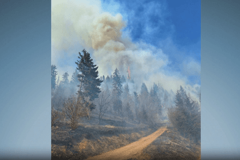 Berane: Požar u Šekularu, vatrogasci se bore da vatra ne zahvati kuće Berane: Požar u Šekularu, vatrogasci se bore da vatra ne zahvati kuće