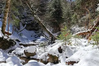 Mještani kolašinskog sela Mušovića Rijeka najavili krivičnu prijavu: Protive se odluci da se voda iz rijeke Ljevaje koristi za osnježavanje Mještani kolašinskog sela Mušovića Rijeka najavili krivičnu prijavu: Protive se odluci da se voda iz rijeke Ljevaje koristi za osnježavanje