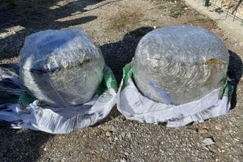 Kučka korita: Pronađeno 26 kilograma marihuane, uhapšena jedna osoba