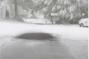 (VIDEO) Snijeg u aprilu: NP Lovćen pod bijelim pokrivačem