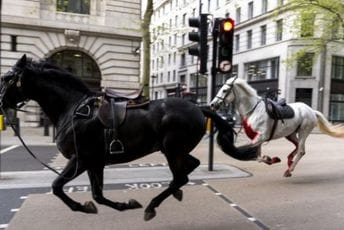 (VIDEO) Odbjegli konji britanske vojske jurili centrom Londona, povrijeđeno nekoliko ljudi
