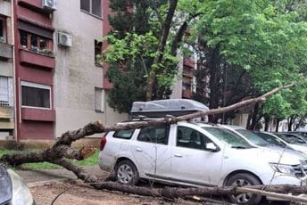 Podgorica: U Bloku 5 stablo palo na automobile