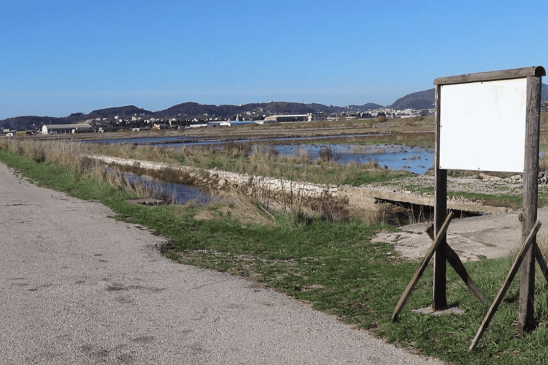 Bivši radnici: Ako država hoće da uzme Solanu onda nas prvo mora isplatiti
