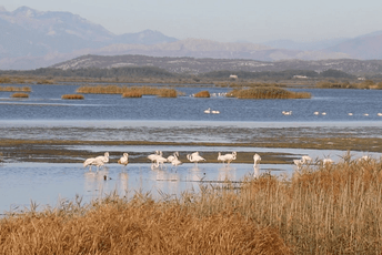 Vlada i Opština Ulcinj upravljaće Solanom