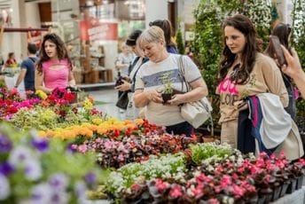 Rascvjetavanje: Počinje Sajam cvijeća i ukrasnog bilja u Podgorici