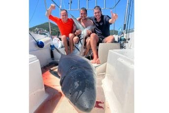 Kod Budve ulovljena plava ajkula teška blizu 200 kilograma Kod Budve ulovljena plava ajkula teška blizu 200 kilograma