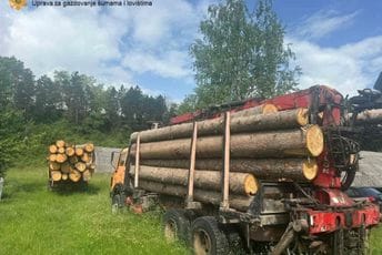 Zaplijenjena bespravno posječena građa na Jelovici: Uhvaćen i šumar, kamionom prevozio drva