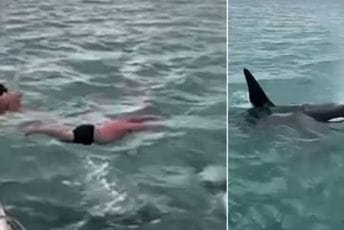 (VIDEO) Muškarac pokušao da skoči na orku; Ministarstvo: Idiotski postupak
