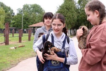 Crnogorski srednjoškolci u Svilajncu: Stekli vrijedna veterinarska znanja