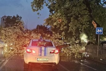Podgorica: Tokom nevremena oboreno stablo, blokirane dvije kolovozne trake