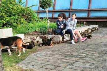 Osmoro je oštenila crnih... Osmoro je oštenila crnih...