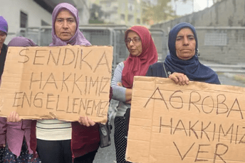 Lidl raskinuo saradnju sa turskom kompanijom Agrobay: Radnici nisu imali pravo na odlazak u toalet