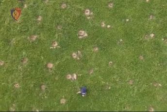 Policija kod Skadra uništila skoro 11.000 stabljika marihuane Policija kod Skadra uništila skoro 11.000 stabljika marihuane