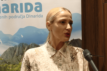 Slavica: Crna Gora da ne "izmišlja toplu vodu", nego da se nosi iskustvima i znanjima Hrvatske Slavica: Crna Gora da ne "izmišlja toplu vodu", nego da se nosi iskustvima i znanjima Hrvatske