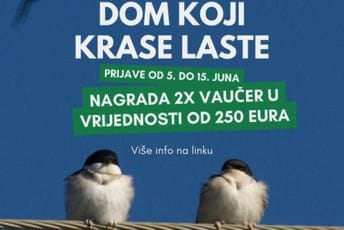 Otvoren konkurs “Dom koji krase laste”: Ako imate lastavičje gnijezdo mogli biste osvojiti nagradu Otvoren konkurs “Dom koji krase laste”: Ako imate lastavičje gnijezdo mogli biste osvojiti nagradu