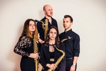 Wild Beauty Art: Durmitor classics na Macan poljani Kvartet Aureum