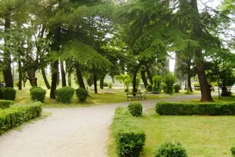 Podgorica: Mladići opljačkani u parku u centru, napadač im prijetio da će ih izbosti Podgorica: Mladići opljačkani u parku u centru, napadač im prijetio da će ih izbosti