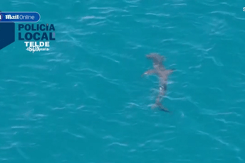 (VIDEO) Zatvorene tri plaže u Španiji zbog pojave ajkula, stigle do same obale (VIDEO) Zatvorene tri plaže u Španiji zbog pojave ajkula, stigle do same obale