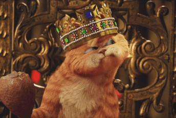 Mačak Garfild danas slavi 46. rođendan Mačak Garfild danas slavi 46. rođendan