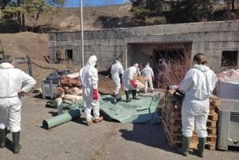 Lončar: Ako ima još opasne hemije u Beranama, šta se čeka? Uklanjanje otrova iz fabrike kože/arhiva