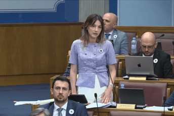 Strujić-Harbić: Svako prećutno brisanje džamija pod plaštom uređenja je veoma opasan posao