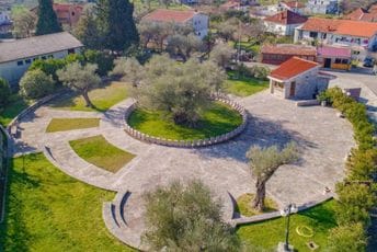 Ukoliko budete u Baru, sjutra besplatno možete obići Staru maslinu Ukoliko budete u Baru, sjutra besplatno možete obići Staru maslinu