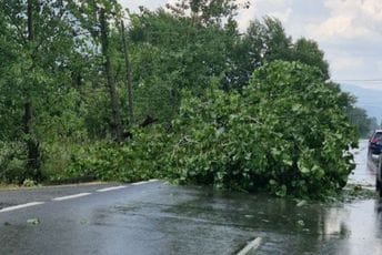 Kraće nevrijeme uzrokovalo probleme: Kod Danilovgrada srušeno stablo, kod Nikšića grom izazvao požar