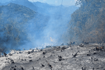 Virpazar: Gori šuma u selu Limljani, vatrogasci na terenu