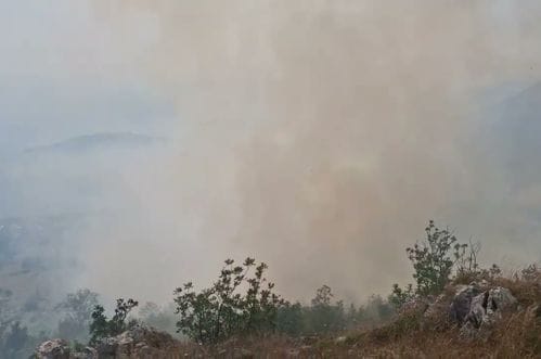 Požar u brdima iznad Cetinja i Budve se širi, akcija Službe zaštite i spašavanja bila je neuspješna