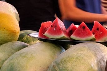 Nimanbegu: Pomoći proizvođačima lubenice da dođu do tržišta Nimanbegu: Pomoći proizvođačima lubenice da dođu do tržišta