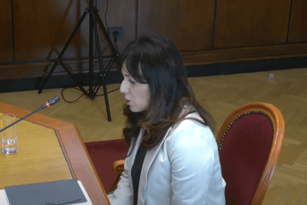 Odbor podržao Simićević za ambasadorku u Ukrajini Simićević dobila podršku Odbora